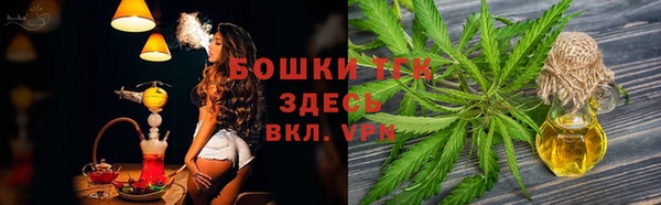 ешки Лагань