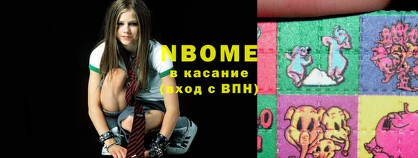 сатива Краснослободск