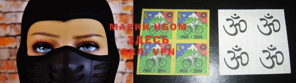 индика Куйбышев
