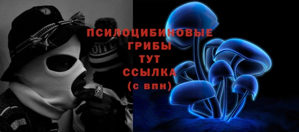 каннабис Корсаков
