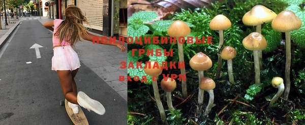 сатива Краснослободск