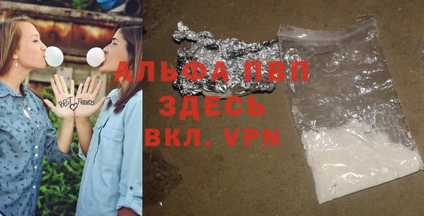 сатива Краснослободск