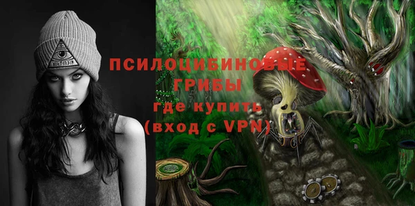 индика Куйбышев