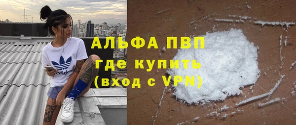 сатива Краснослободск