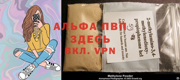 гидра Коряжма