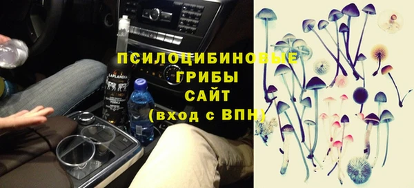 ПСИЛОЦИБИНОВЫЕ ГРИБЫ Красноперекопск