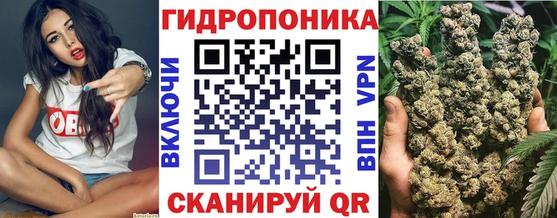 Марихуана OG Kush  Кяхта 